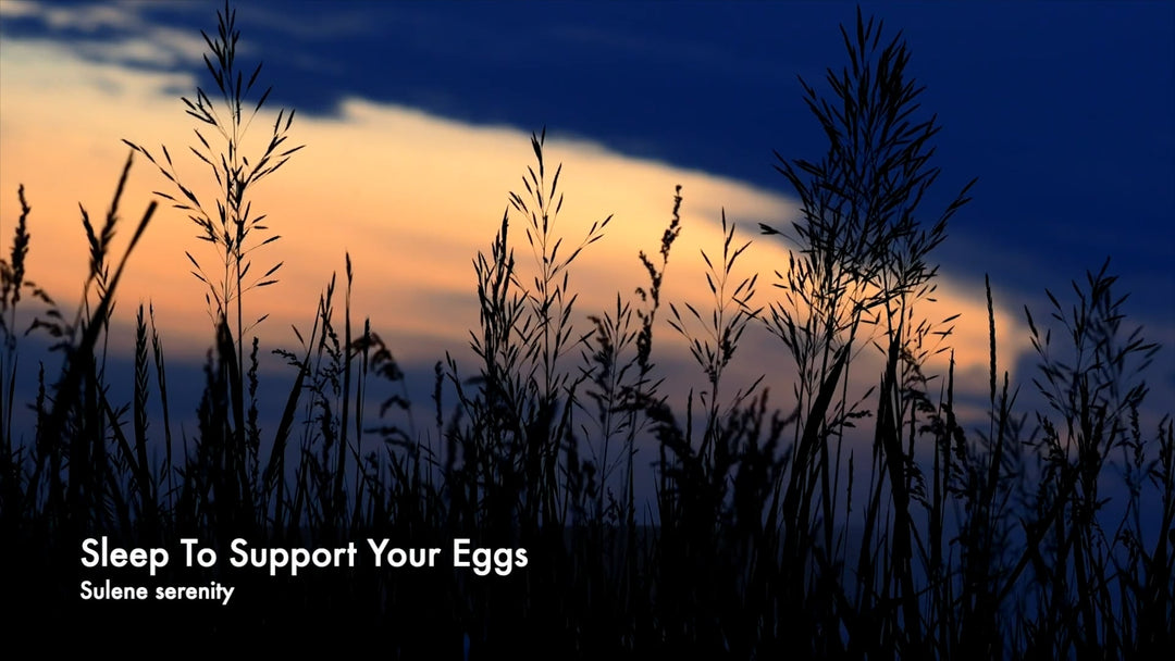 Sleep To Support Your Eggs