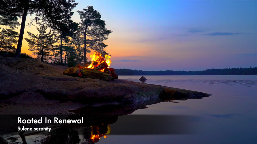 Rooted In Renewal