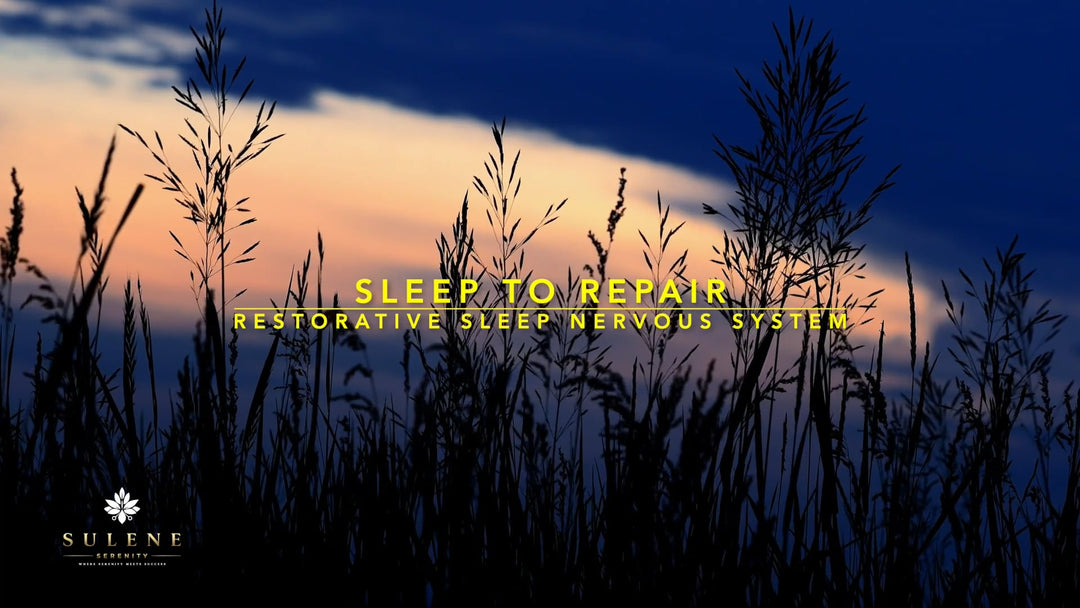 Sleep To Repair