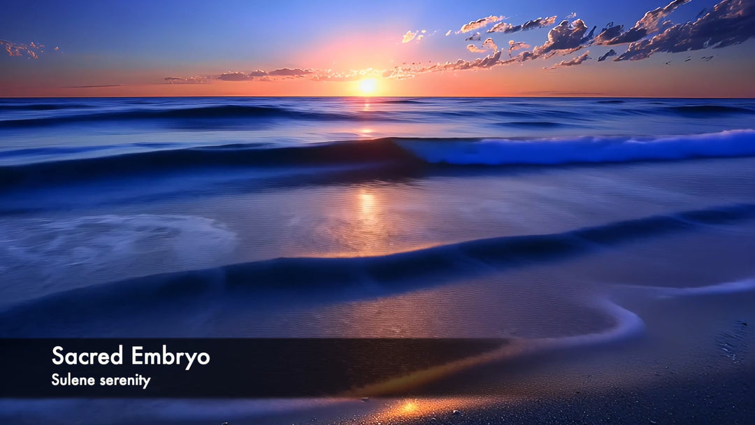Sacred Embryo
